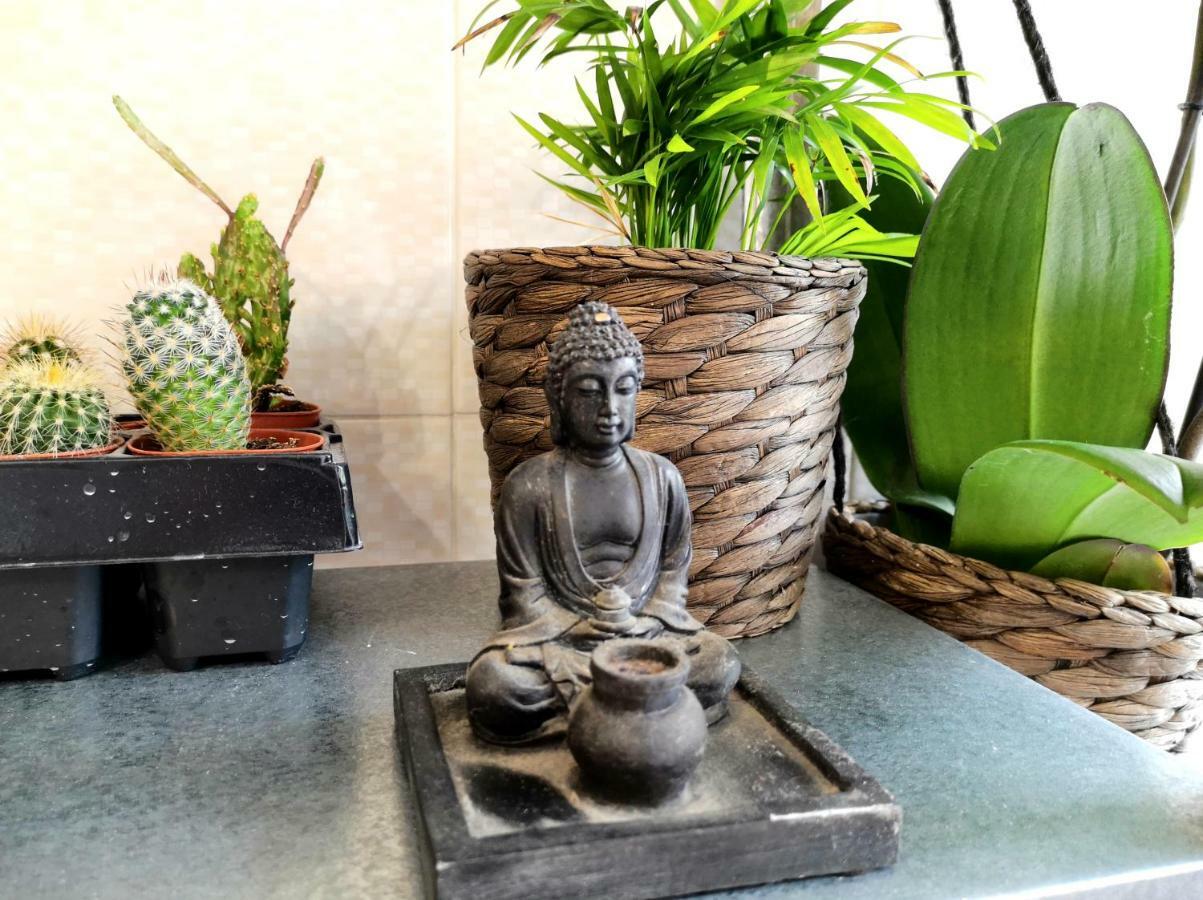 Kintsugi Center Homestay *